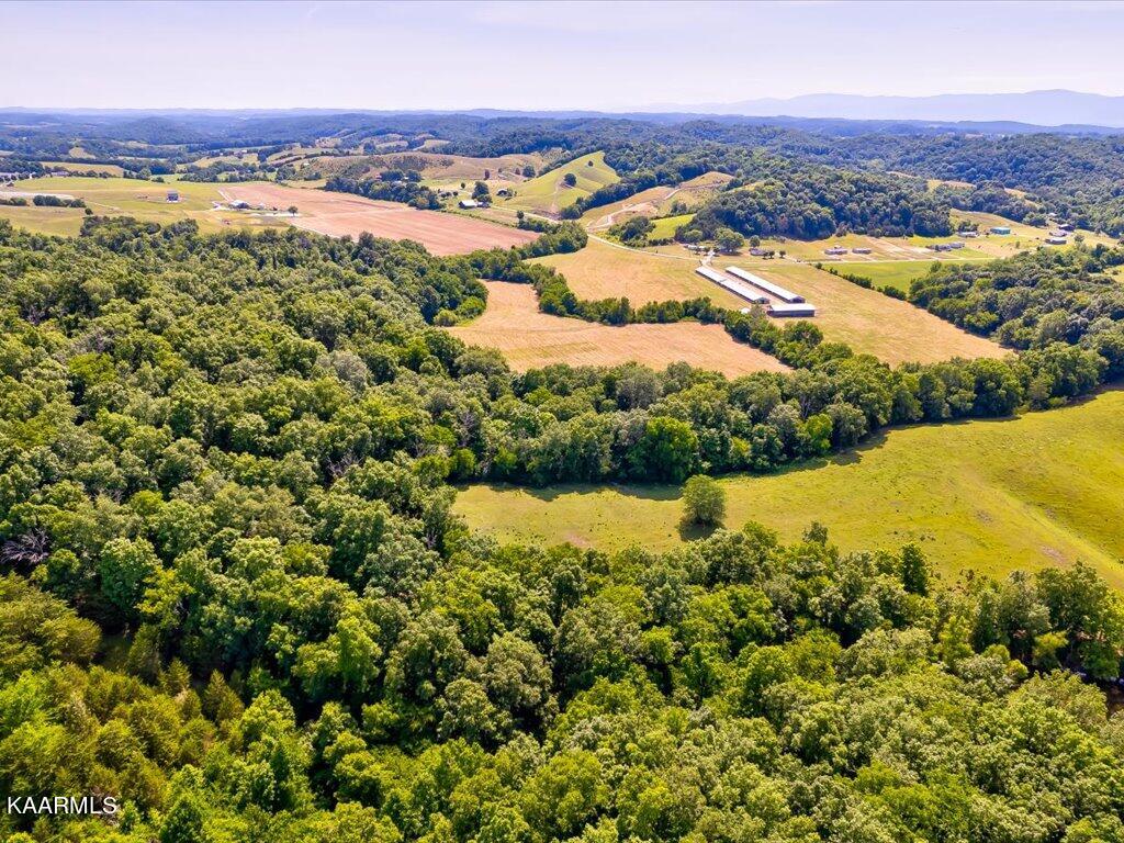 Little Chuckey Road Mosheim, TN 37818 - Photo 18 of 25 3205 Little Chuckey Rd - 140