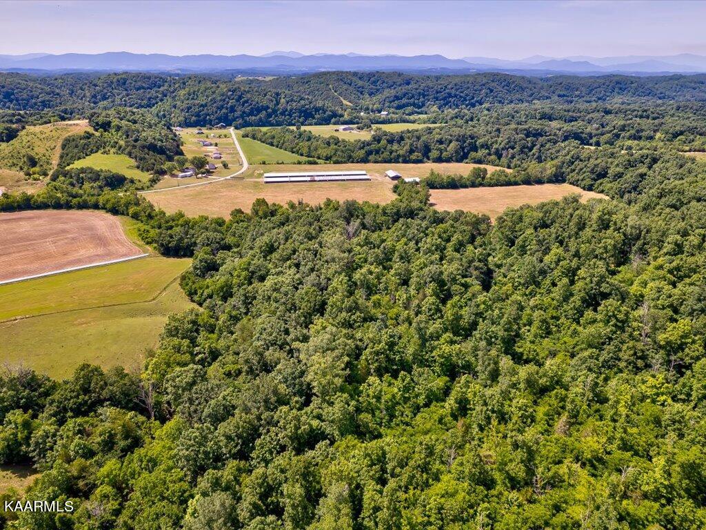 Little Chuckey Road Mosheim, TN 37818 - Photo 20 of 25 3205 Little Chuckey Rd - 142