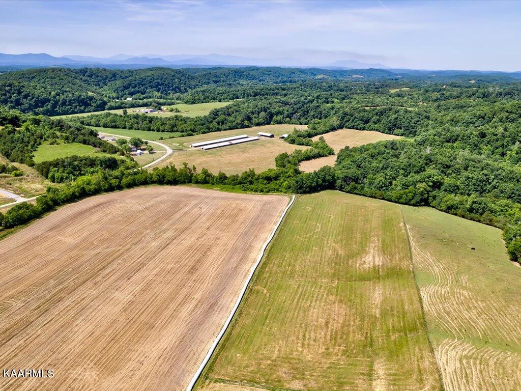 Little Chuckey Road Mosheim, TN 37818 - Photo 21 of 25 3205 Little Chuckey Rd - 143