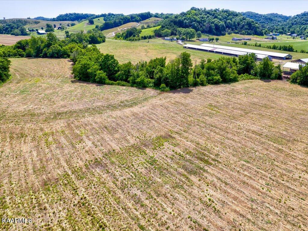 Little Chuckey Road Mosheim, TN 37818 - Photo 23 of 25 3205 Little Chuckey Rd - 145