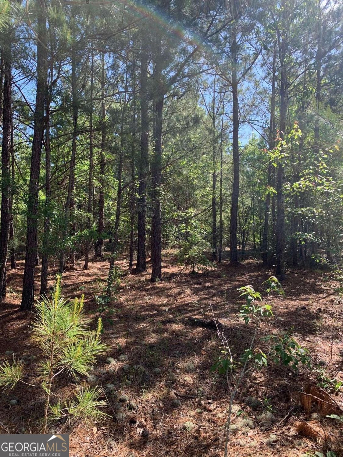0 Pollett Road, Unit LOT 29 Bartow, GA 30413 - Photo 1 of 4 Gallery Image 1