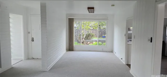 a view of backyard from window