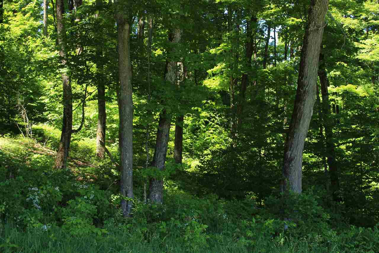 0 Little Scotland Road St. Johnsbury, VT 05819 - Photo 6 of 12
