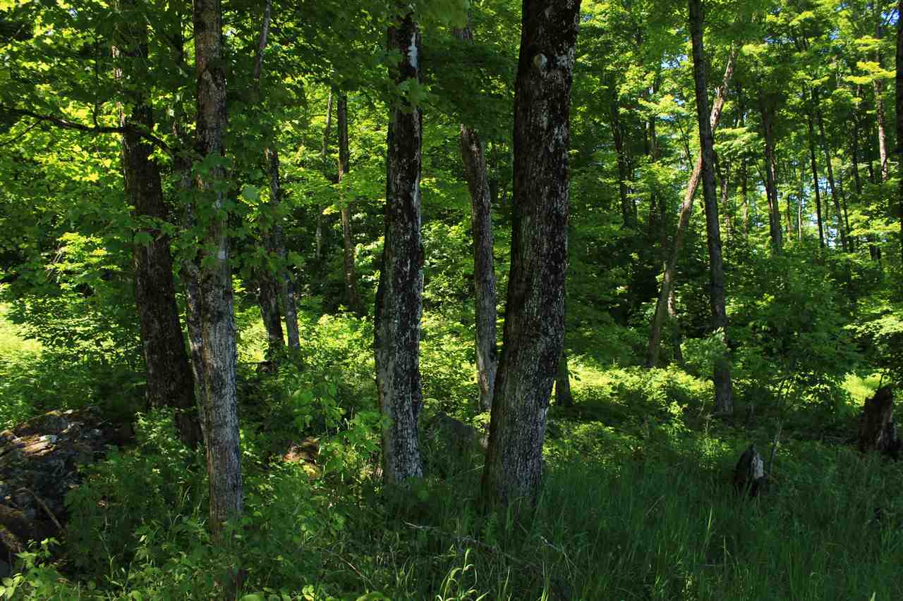 0 Little Scotland Road St. Johnsbury, VT 05819 - Photo 7 of 12