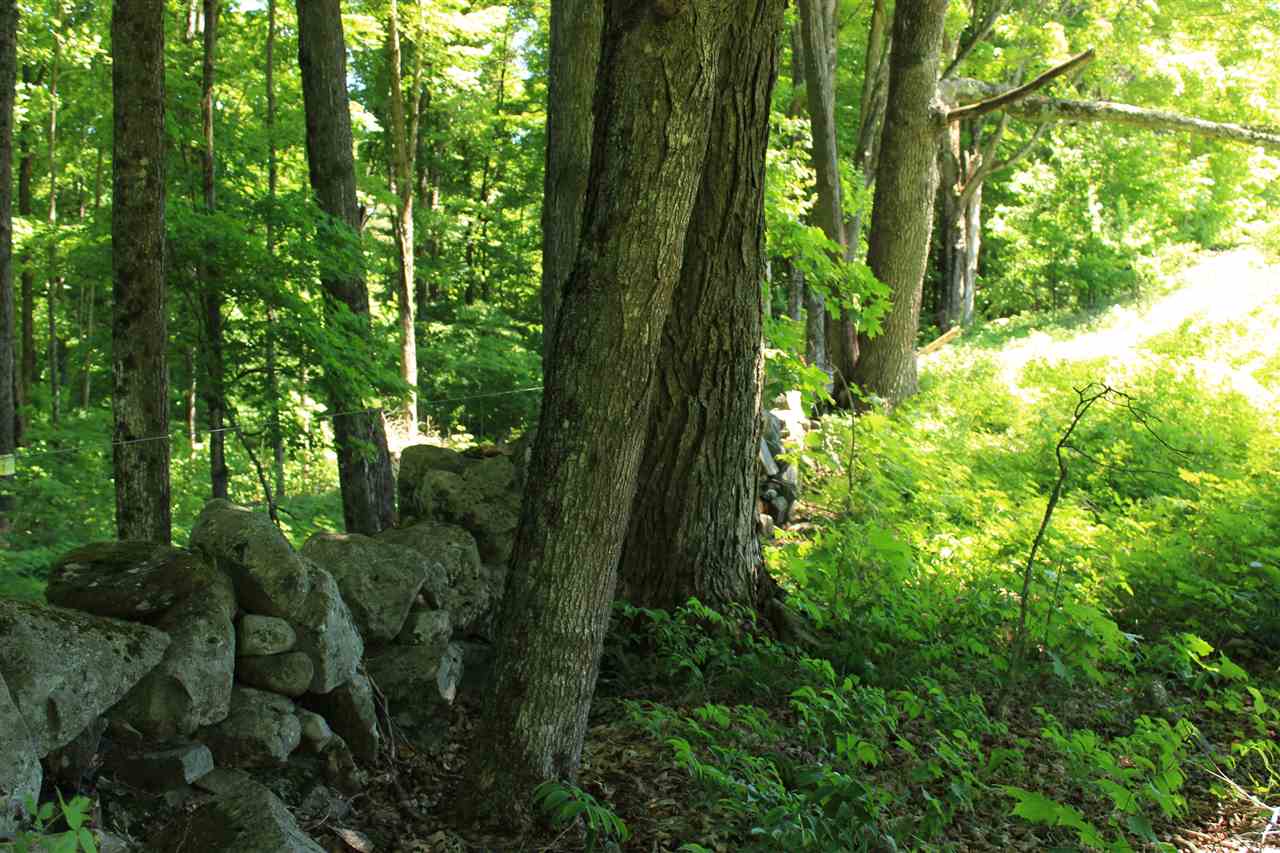 0 Little Scotland Road St. Johnsbury, VT 05819 - Photo 8 of 12