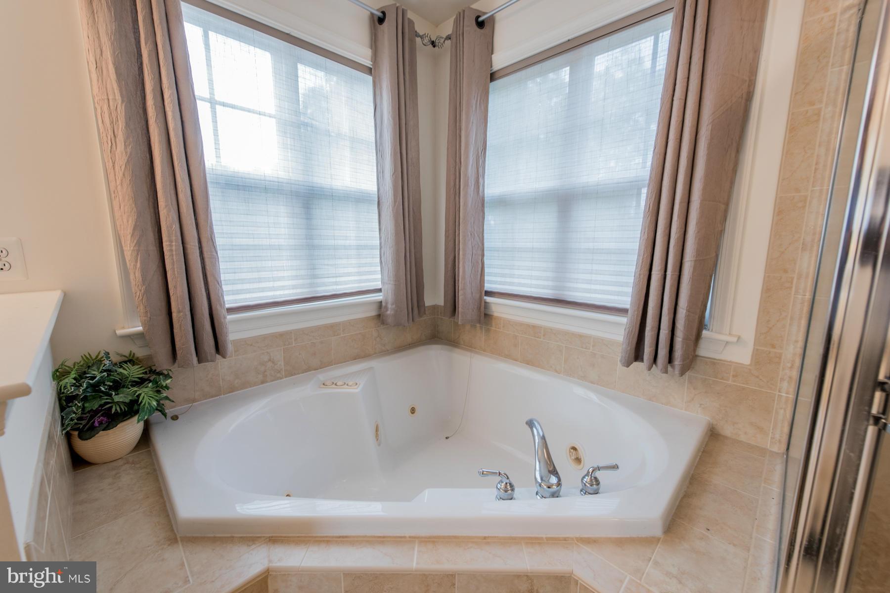 9735 Eustice Road Randallstown, MD 21133 - Photo 18 of 30 Bath (Master)
