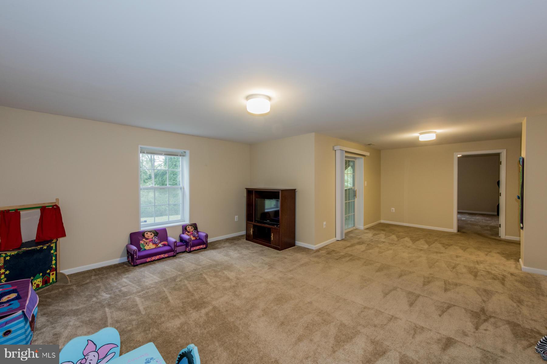 9735 Eustice Road Randallstown, MD 21133 - Photo 23 of 30 Recreation Room