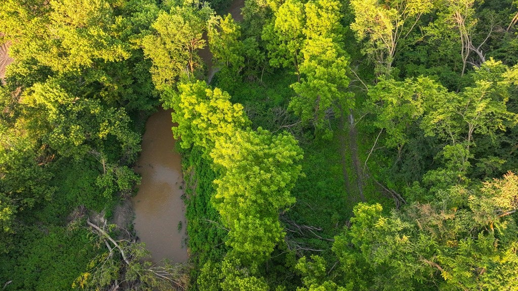 D218 County Road Armstrong, MO 65230 - Photo 33 of 73 Gallery Image 33