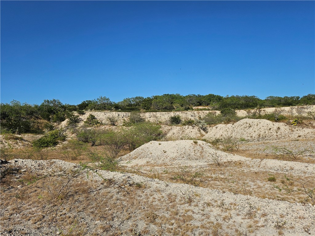24024 441st Circle Mathis, TX 78368 - Photo 36 of 57 Gallery Image 36