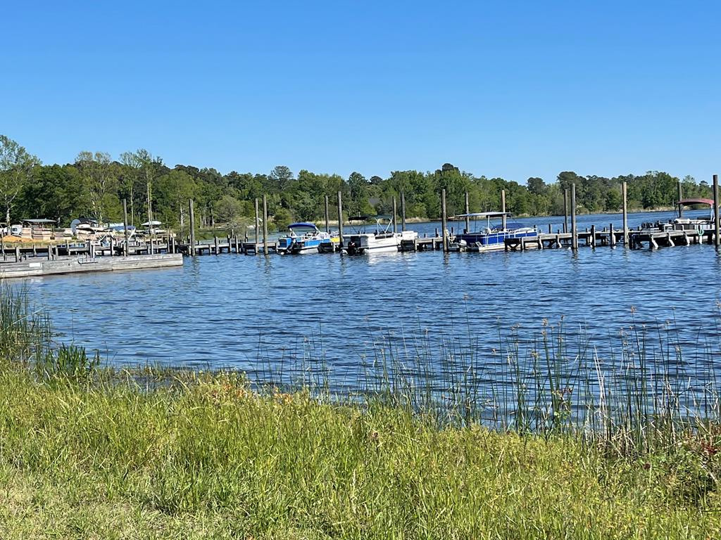 0 1402 Greenall Road Summerton, SC 29148 - Photo 9 of 26 Gallery Image 9