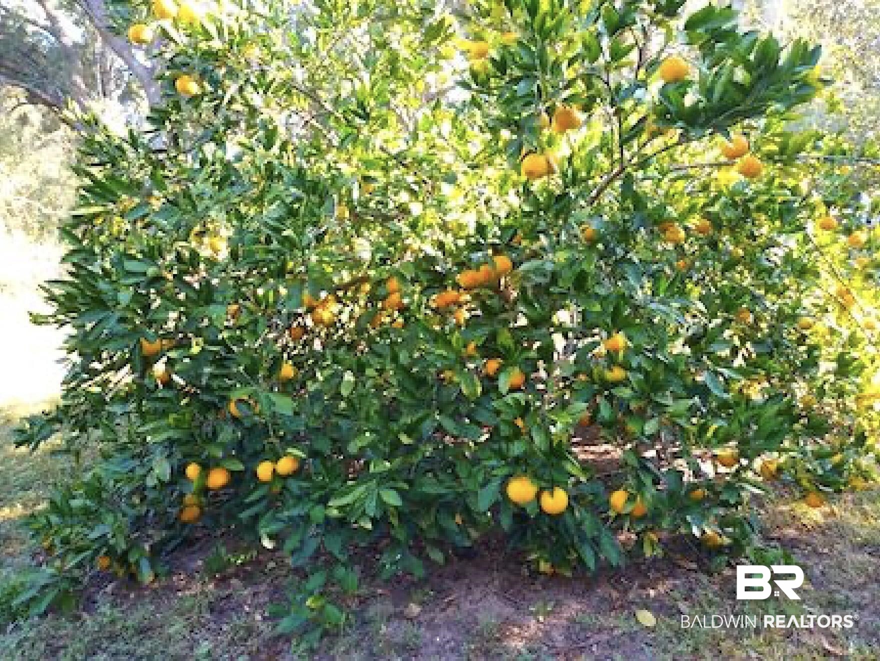 22990 Doc McDuffie Road Foley, AL 36535 - Photo 25 of 26