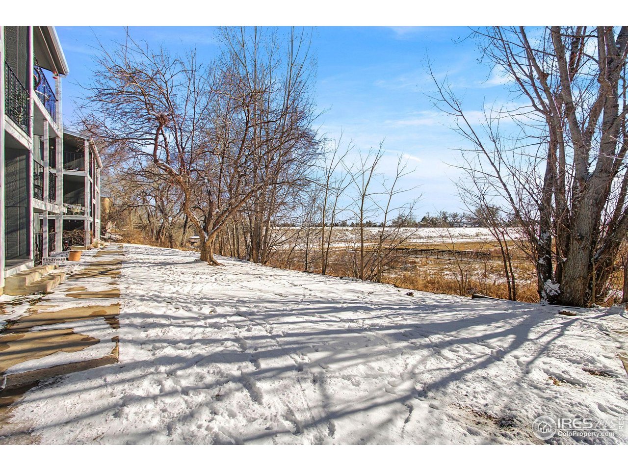 1684 Riverside Avenue, Unit 8 Fort Collins, CO 80525 - Photo 17 of 26 South grass area of Building A