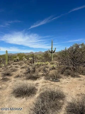 $195,000 | Tbd West Camino De Manana, Marana, AZ 85658