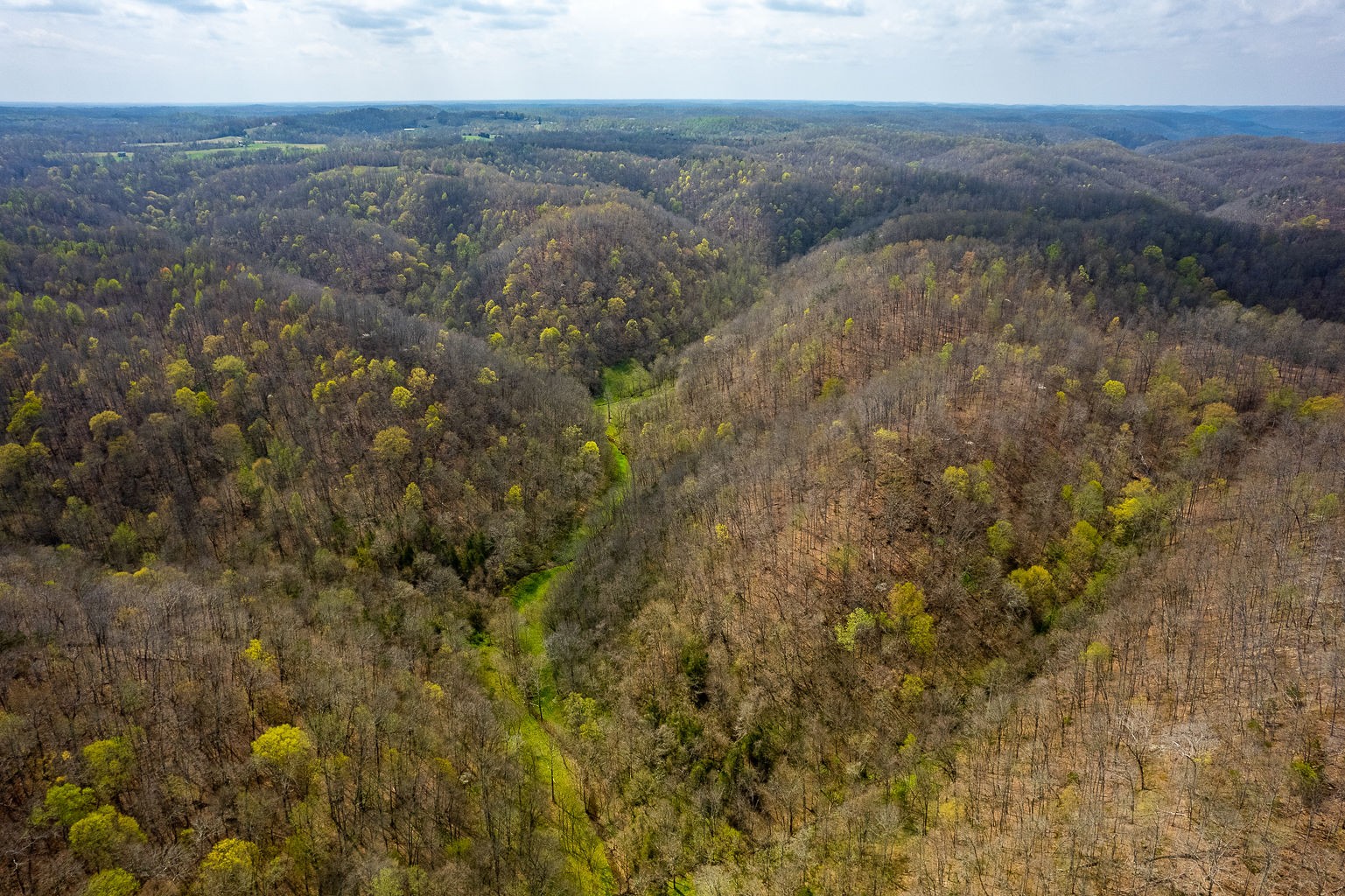0 Millie Ridge Road Hilham, TN 38568 - Photo 12 of 22 Gallery Image 12