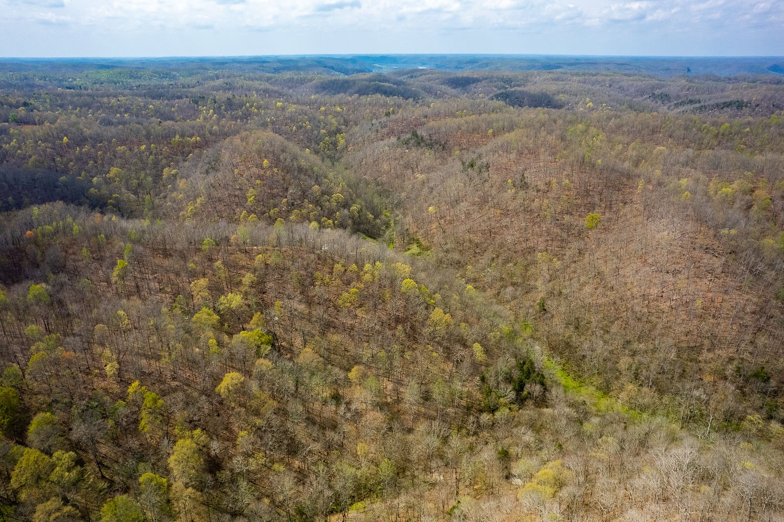 0 Millie Ridge Road Hilham, TN 38568 - Photo 6 of 22 Gallery Image 6