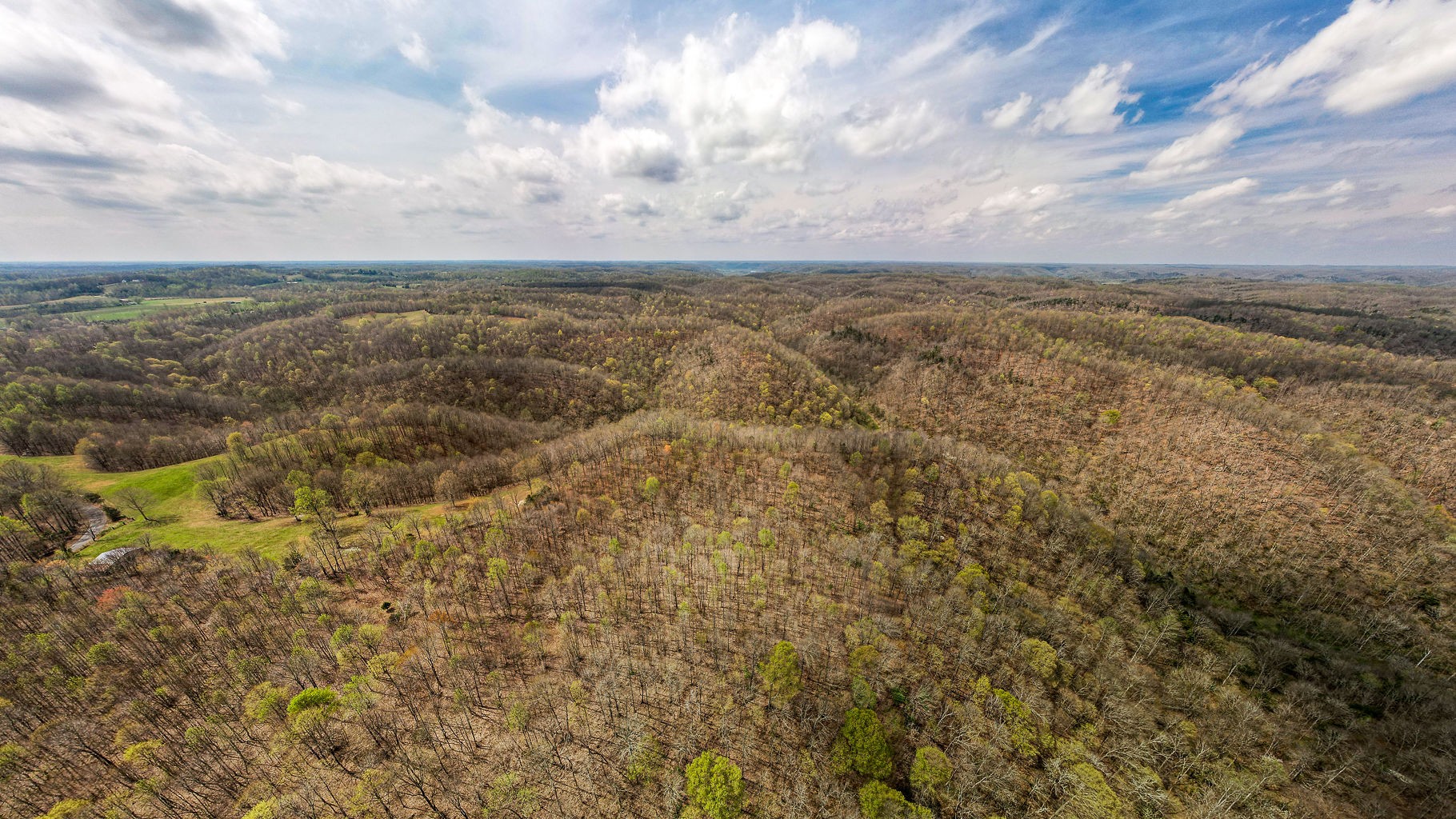 0 Millie Ridge Road Hilham, TN 38568 - Photo 9 of 22 Gallery Image 9