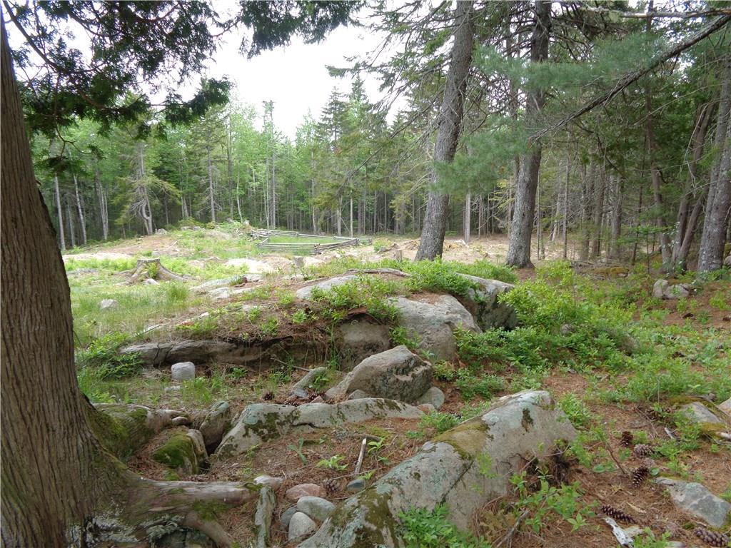 19 Peninsula Road Gouldsboro, ME 04624 - Photo 31 of 72 Photo