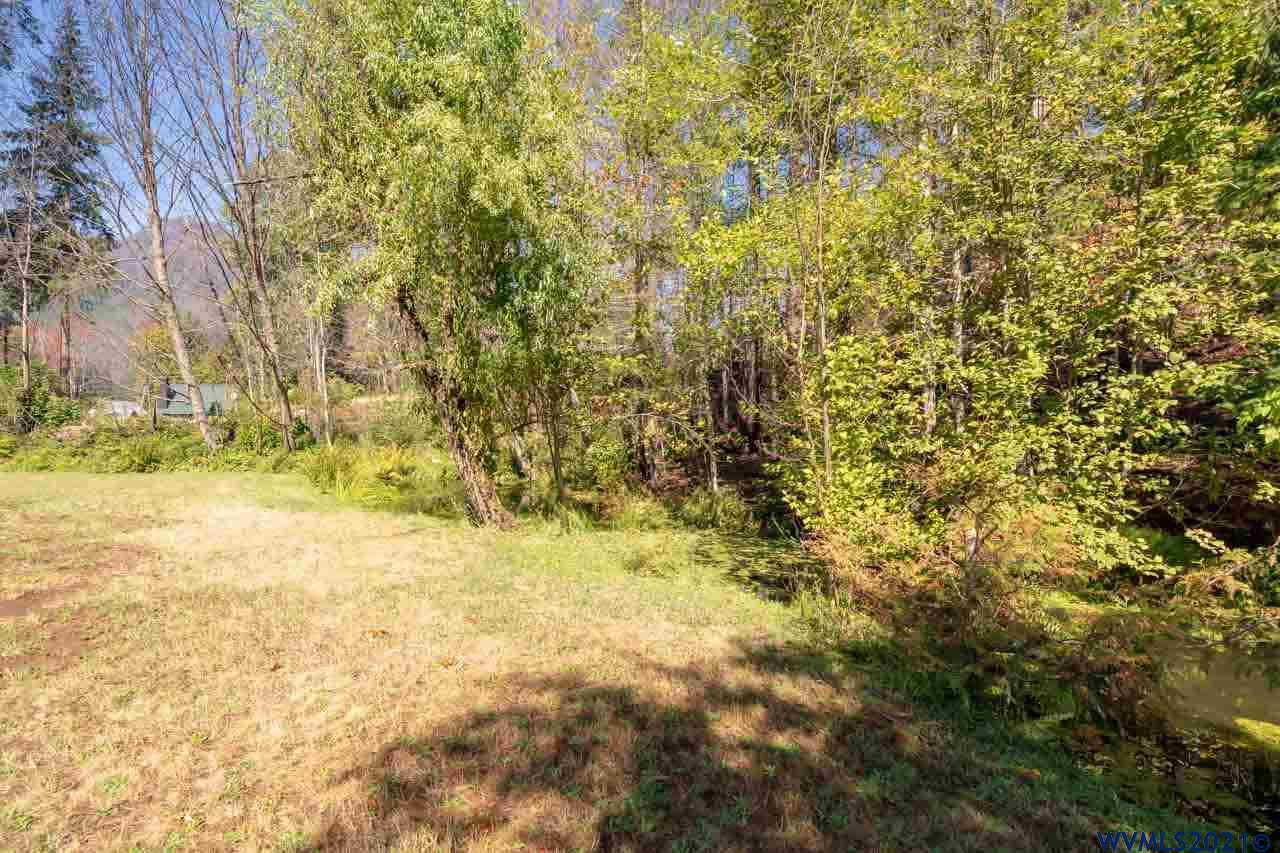 285 Humbug Street Detroit, OR 97342 - Photo 9 of 12