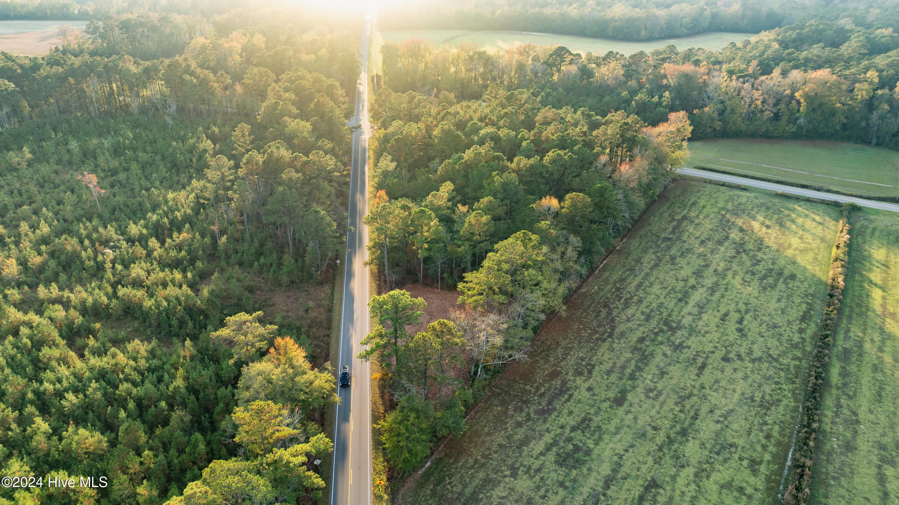 Tbd Tbd Riggs Road Maysville, NC 28555 - Photo 15 of 20 DJI_0287