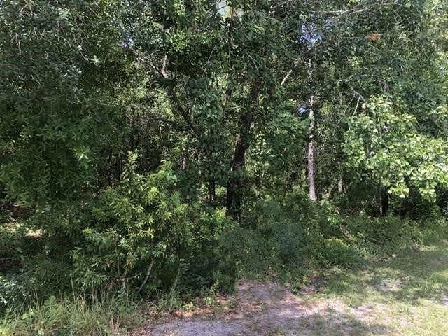 2345 North Yucca Road Avon Park, FL 33825 - Photo 1 of 2 Photo 1