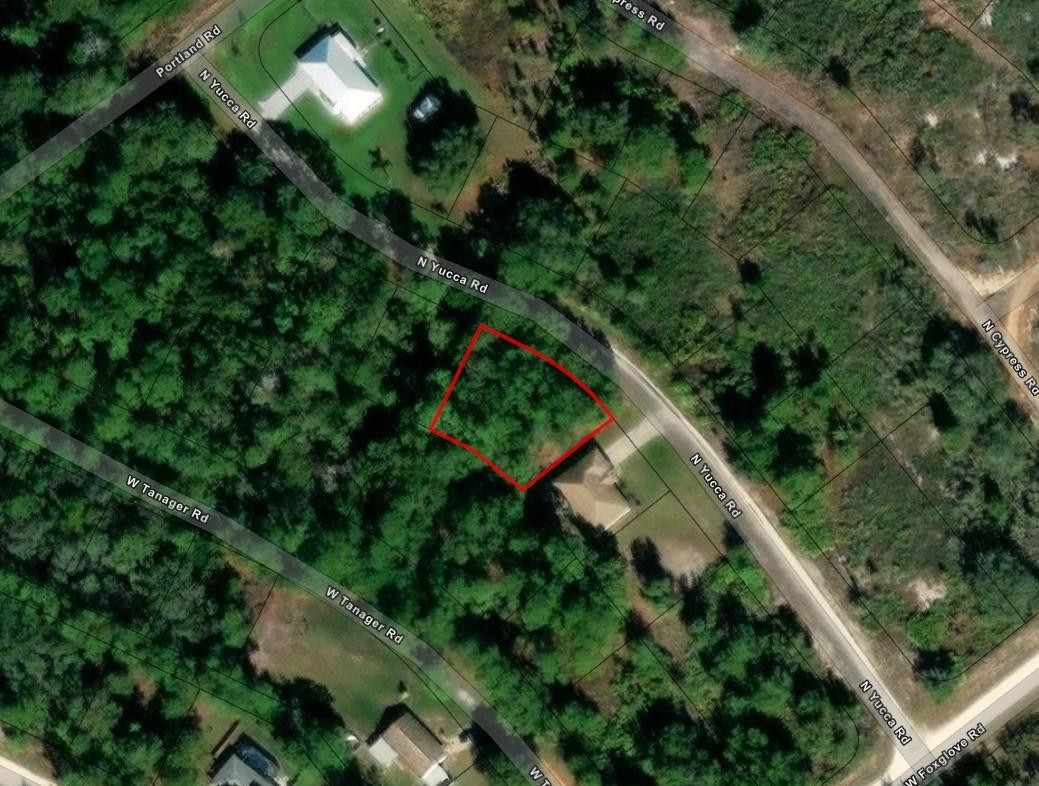2345 North Yucca Road Avon Park, FL 33825 - Photo 2 of 2 Photo 2