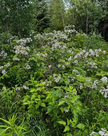 $120,000 | 0 Old Coach Road, Unit 4, Lyndonville, VT 05851