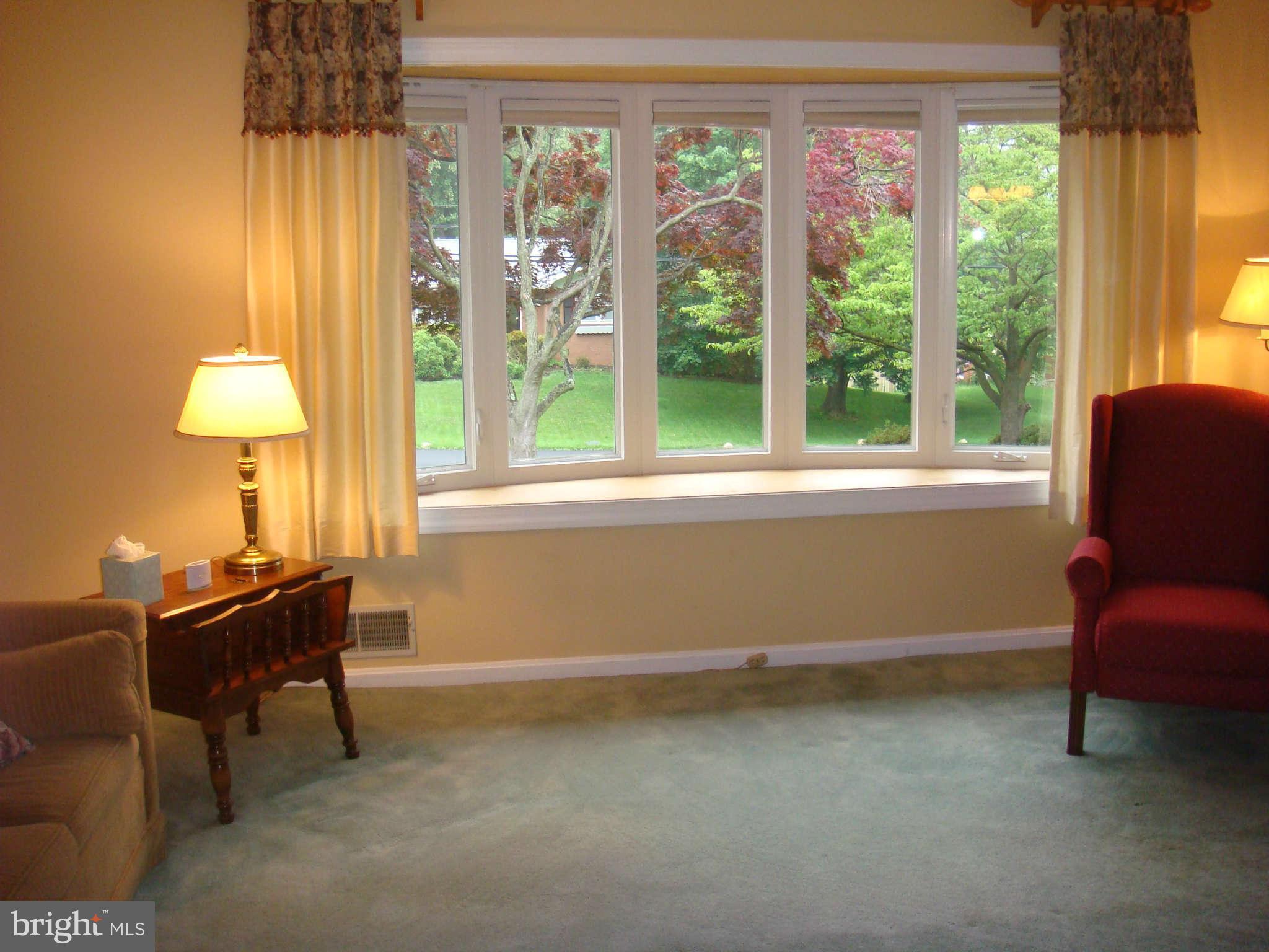 1115 Kathryn Road Silver Spring, MD 20904 - Photo 10 of 30 Living Room