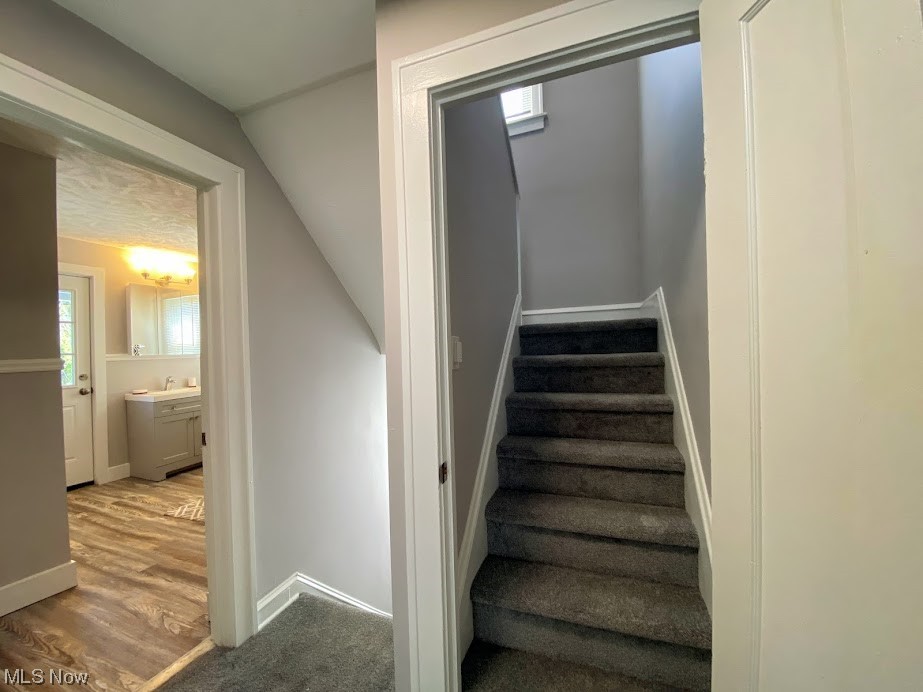 1143 Quilliams Road Cleveland, OH 44121 - Photo 12 of 16 Gallery Image 12
