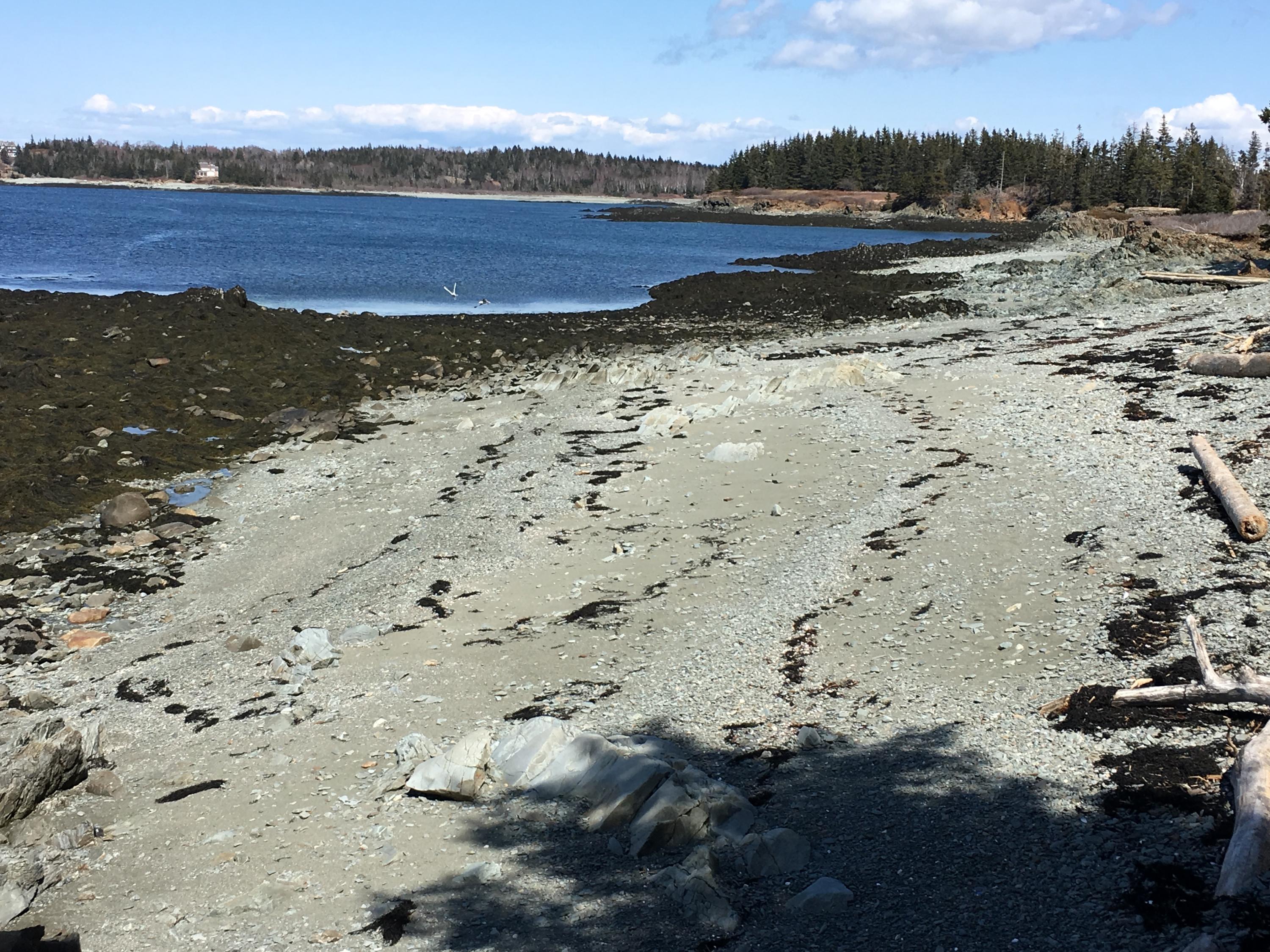 1000 Crabtree Point Road North Haven, ME 04853 - Photo 9 of 27 IMG_9116