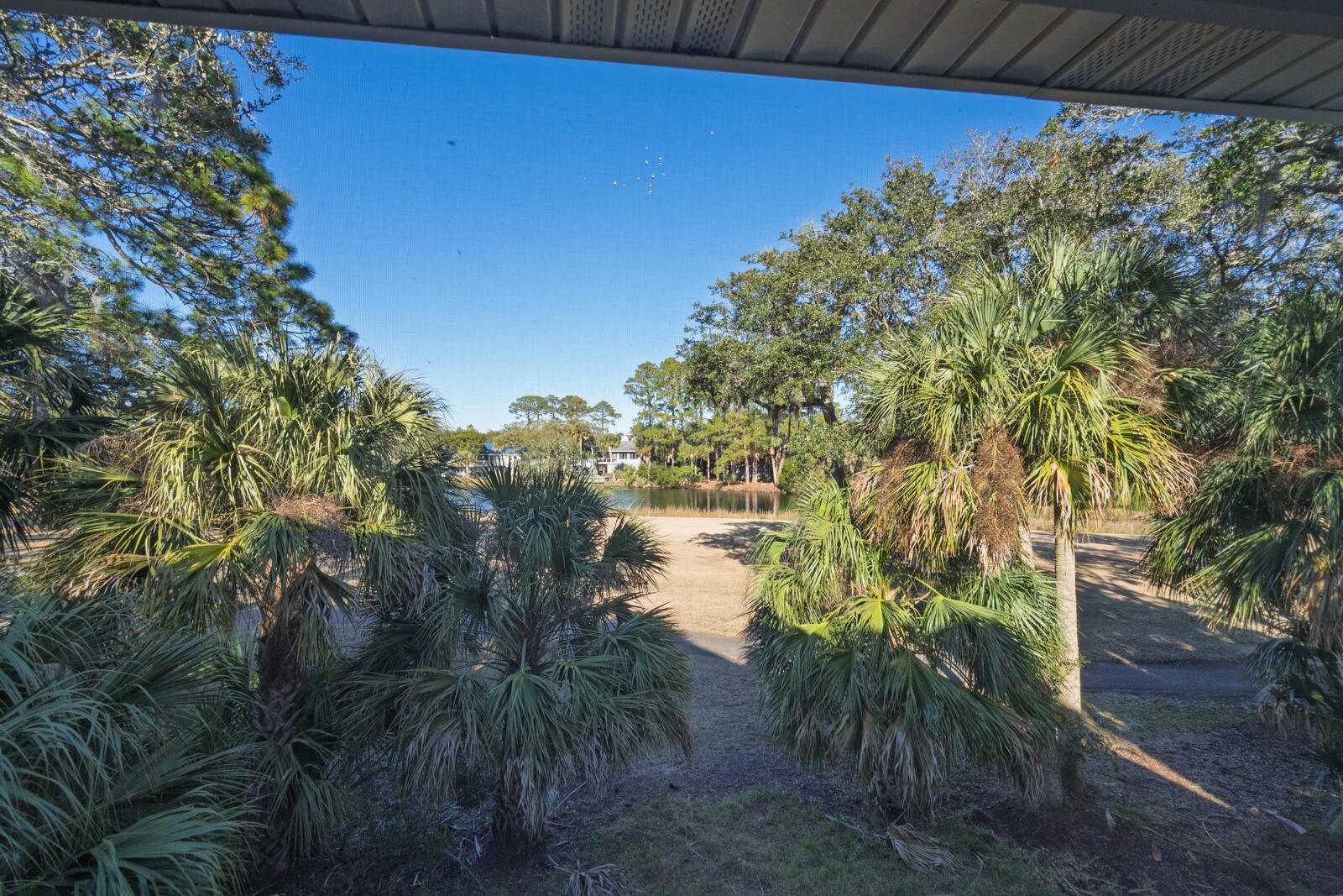 55 Rice Lane Edisto Island, SC 29438 - Photo 18 of 61 19