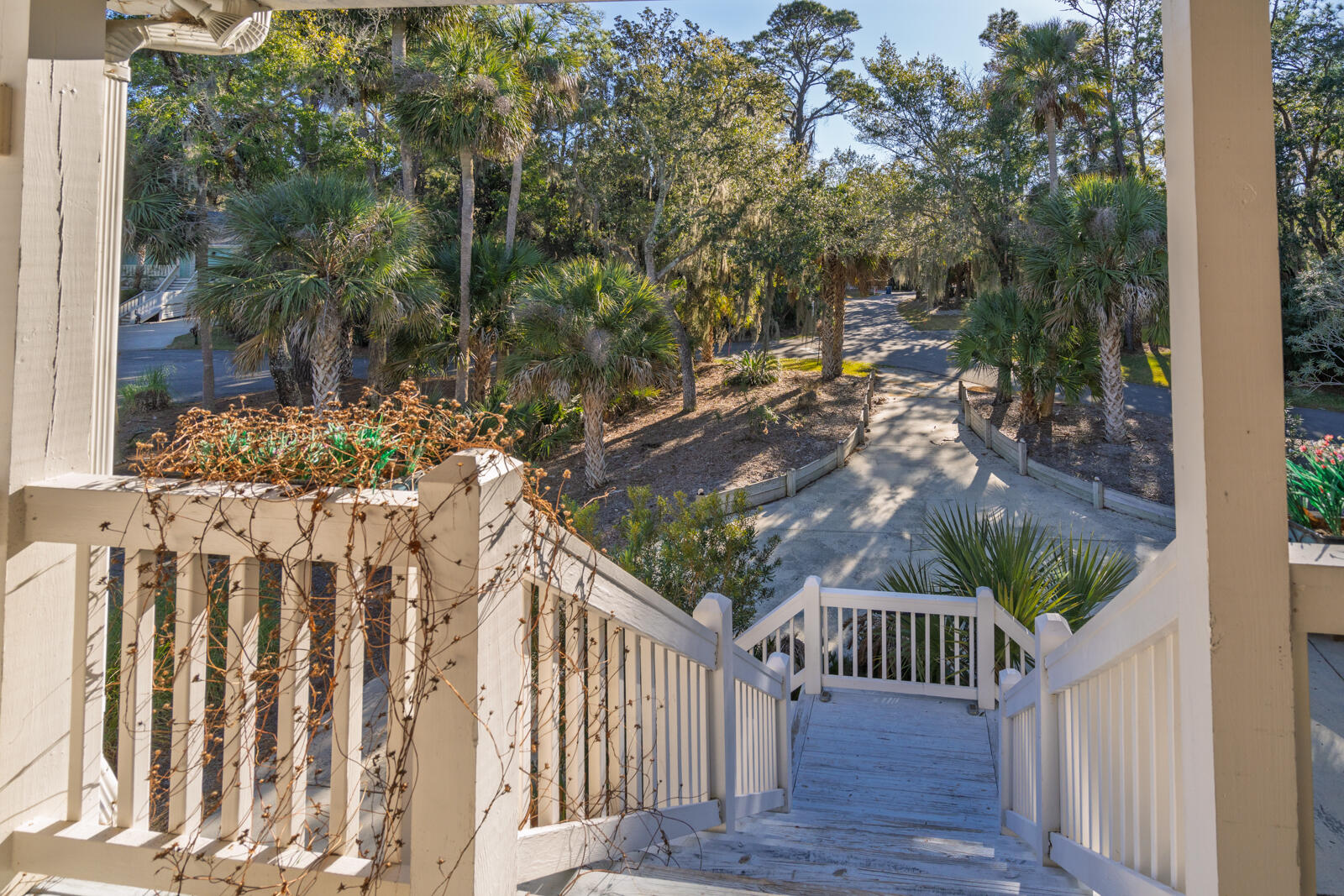 55 Rice Lane Edisto Island, SC 29438 - Photo 3 of 61 3
