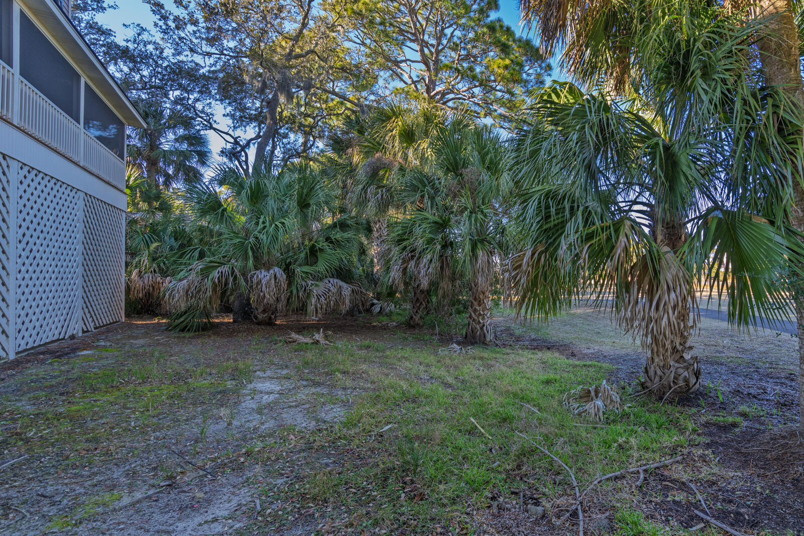 55 Rice Lane Edisto Island, SC 29438 - Photo 46 of 61 45