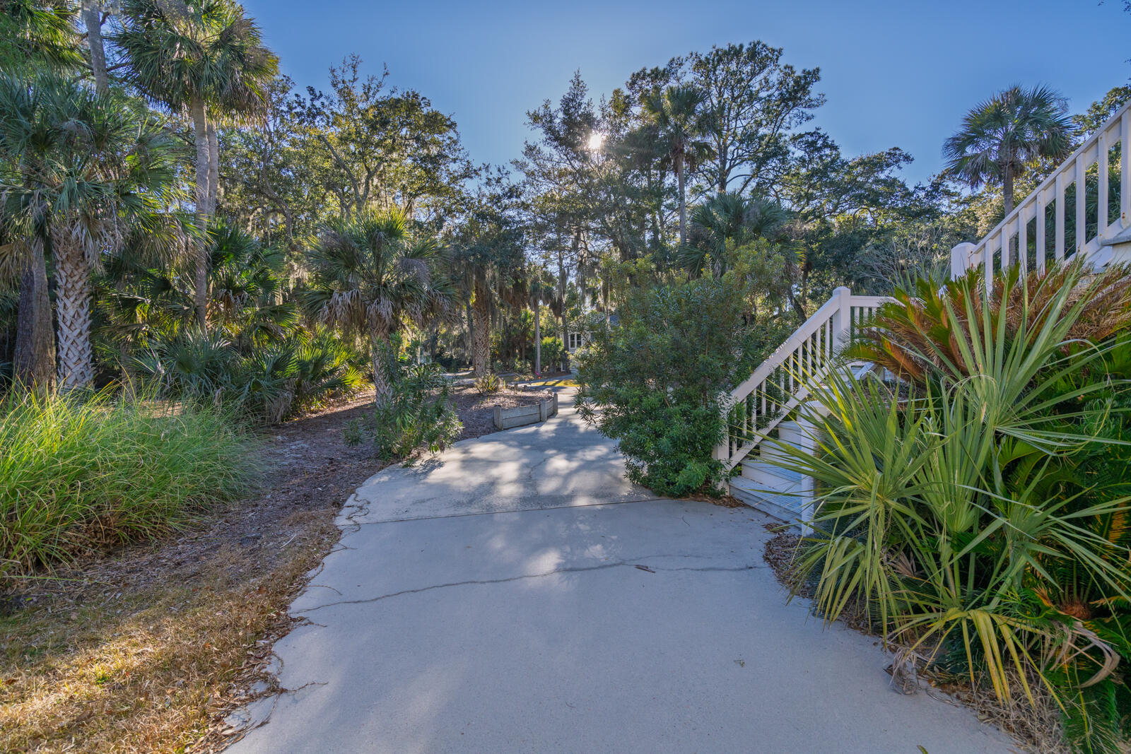 55 Rice Lane Edisto Island, SC 29438 - Photo 47 of 61 46
