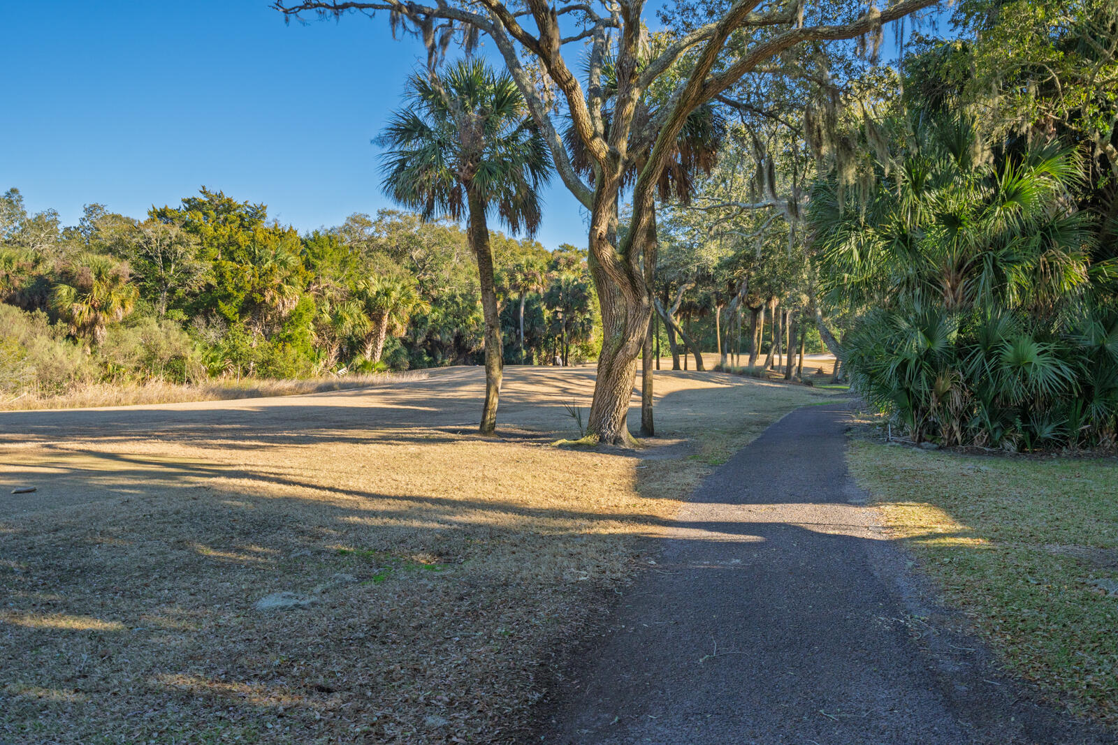 55 Rice Lane Edisto Island, SC 29438 - Photo 48 of 61 47
