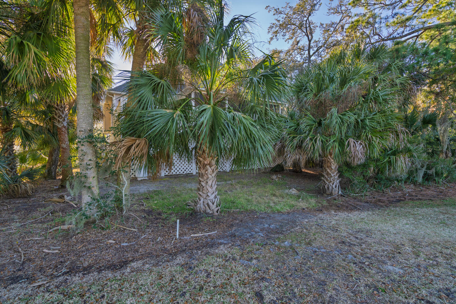 55 Rice Lane Edisto Island, SC 29438 - Photo 49 of 61 48