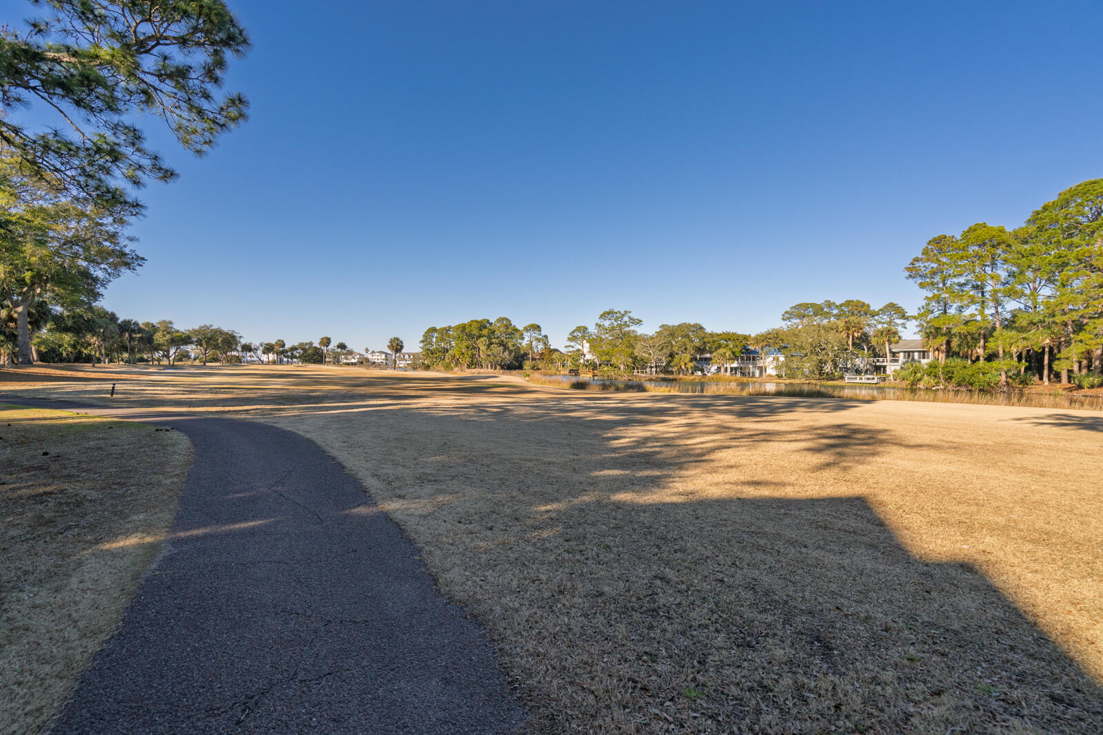 55 Rice Lane Edisto Island, SC 29438 - Photo 50 of 61 50