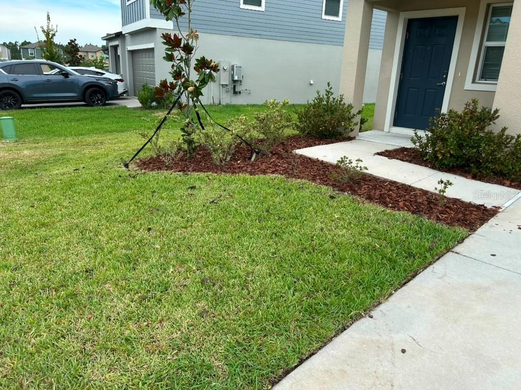 1771 Lanier Road Zephyrhills, FL 33541 - Photo 6 of 7