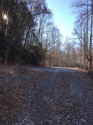 0 Pittman Center Road Sevierville, TN 37876 - Photo 10 of 11 Gallery Image 10