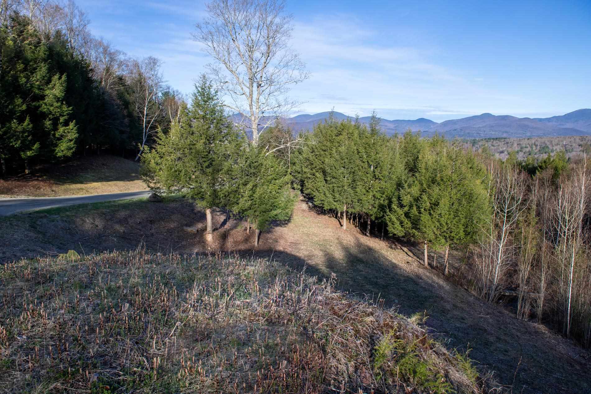 Tbd Warren Hill Road, Unit 7 Stowe, VT 05672 - Photo 2 of 13