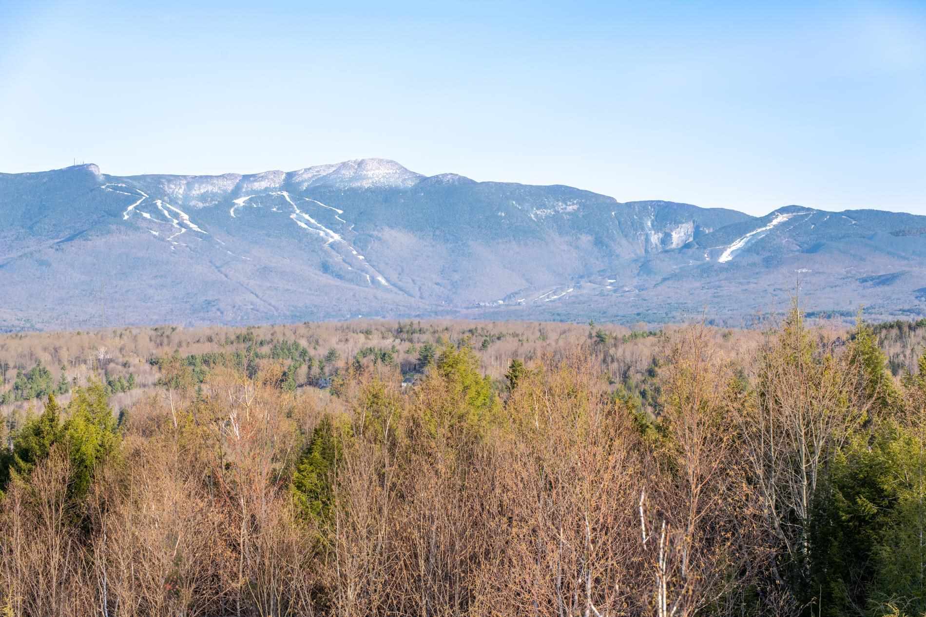Tbd Warren Hill Road, Unit 7 Stowe, VT 05672 - Photo 5 of 13