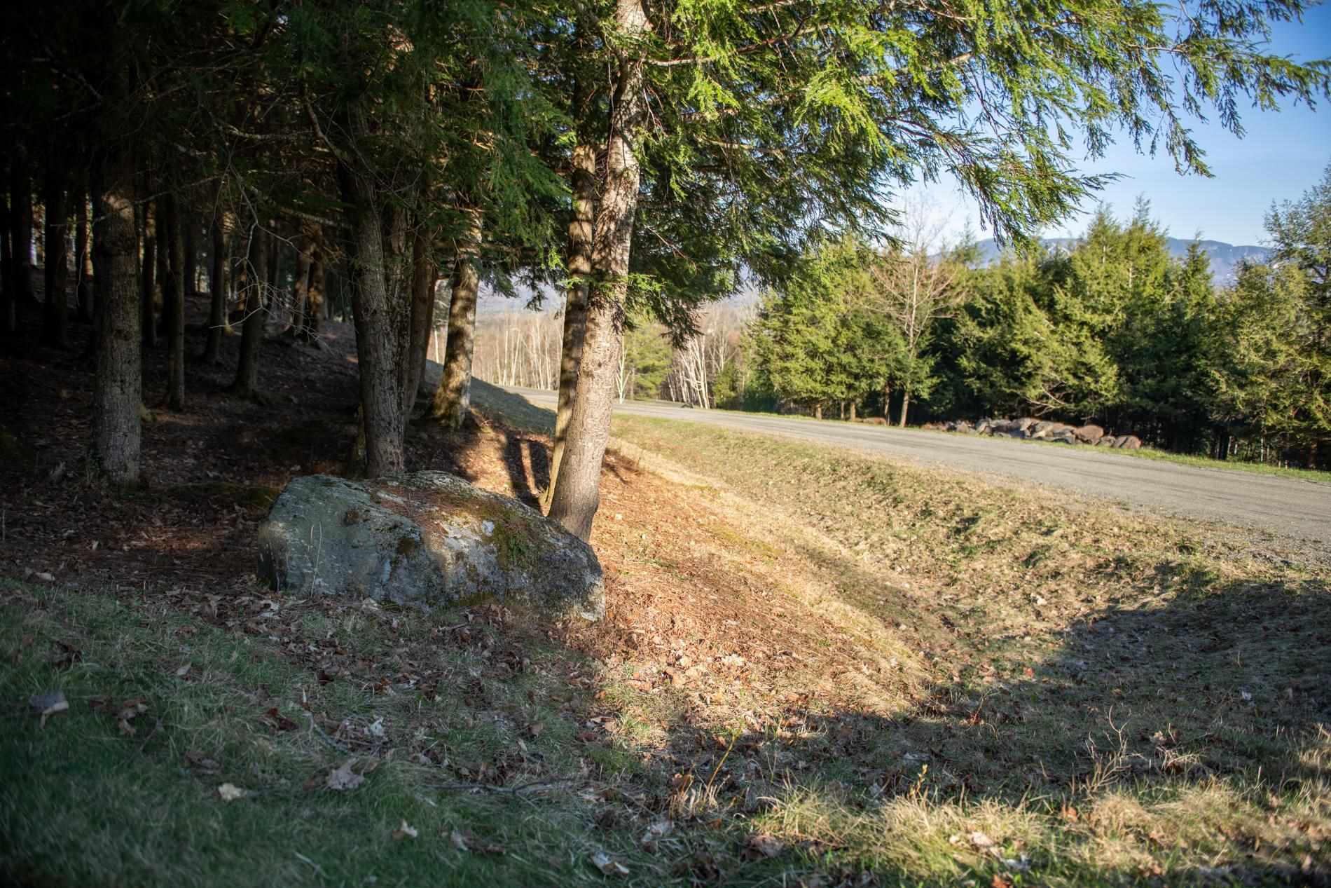 Tbd Warren Hill Road, Unit 7 Stowe, VT 05672 - Photo 6 of 13