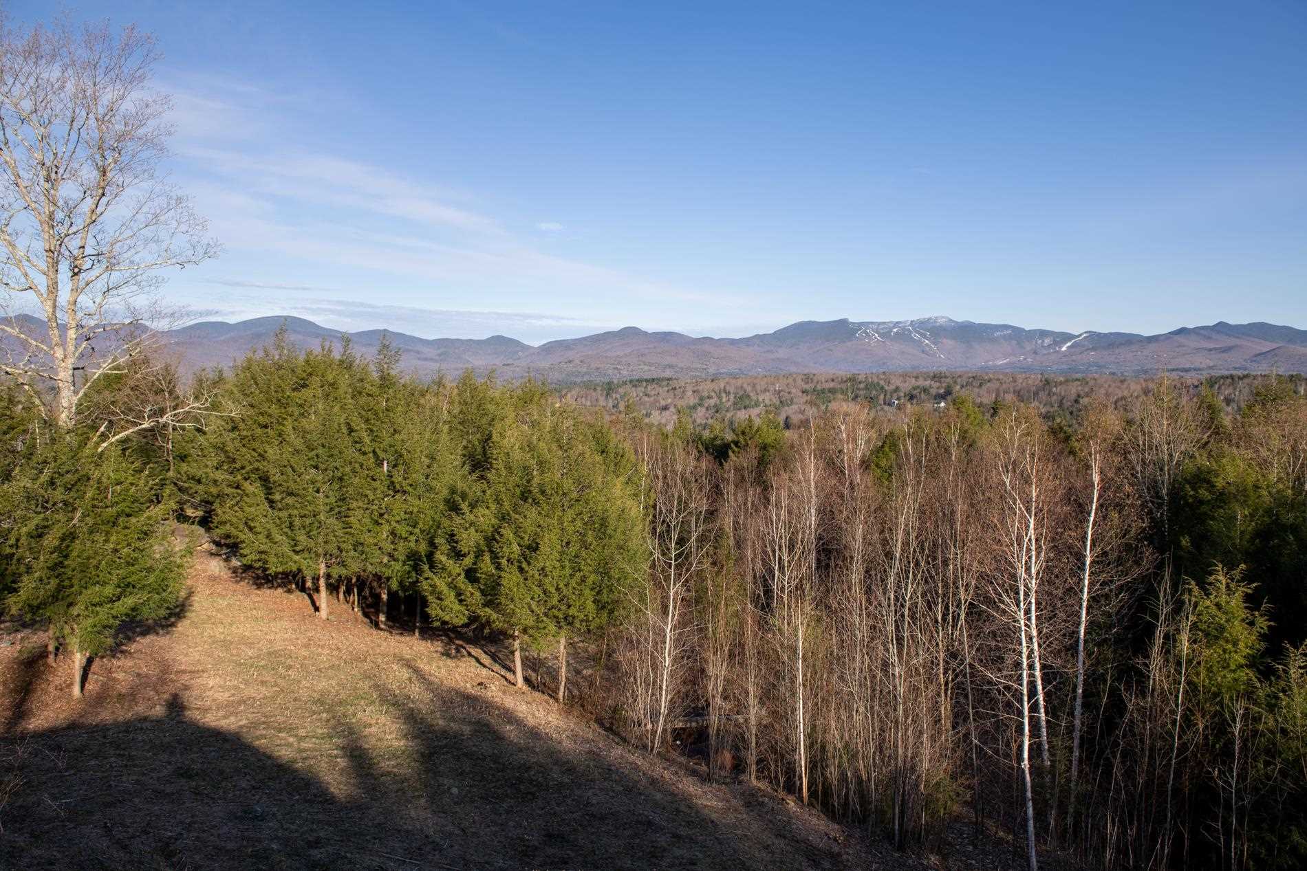 Tbd Warren Hill Road, Unit 7 Stowe, VT 05672 - Photo 8 of 13