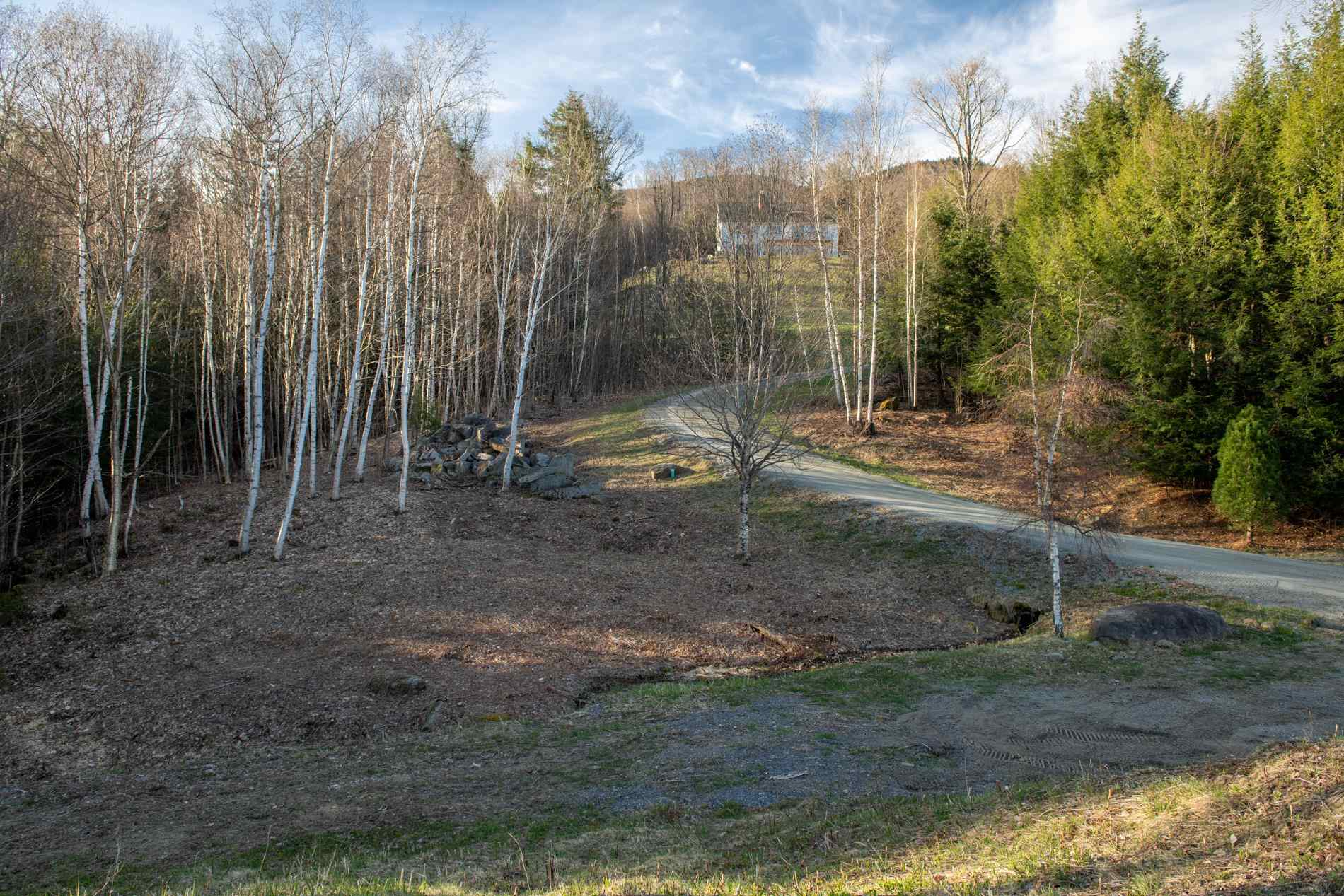 Tbd Warren Hill Road, Unit 7 Stowe, VT 05672 - Photo 9 of 13