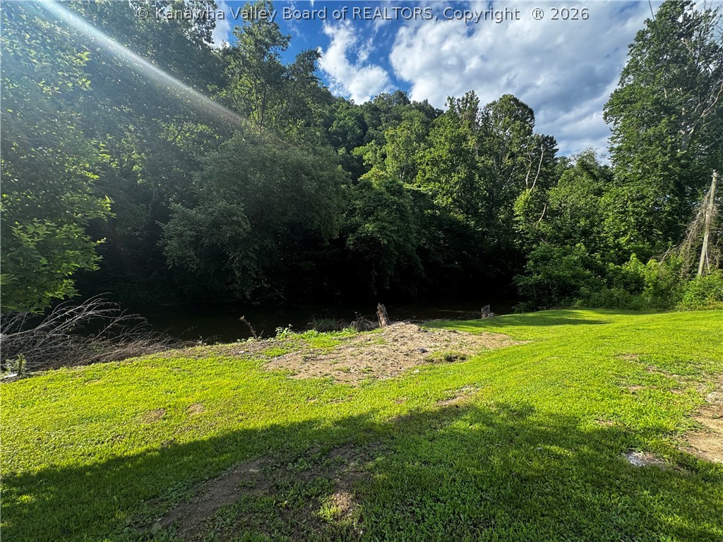 15398 Spruce River Road Foster, WV 25081 - Photo 34 of 48 Gallery Image 34
