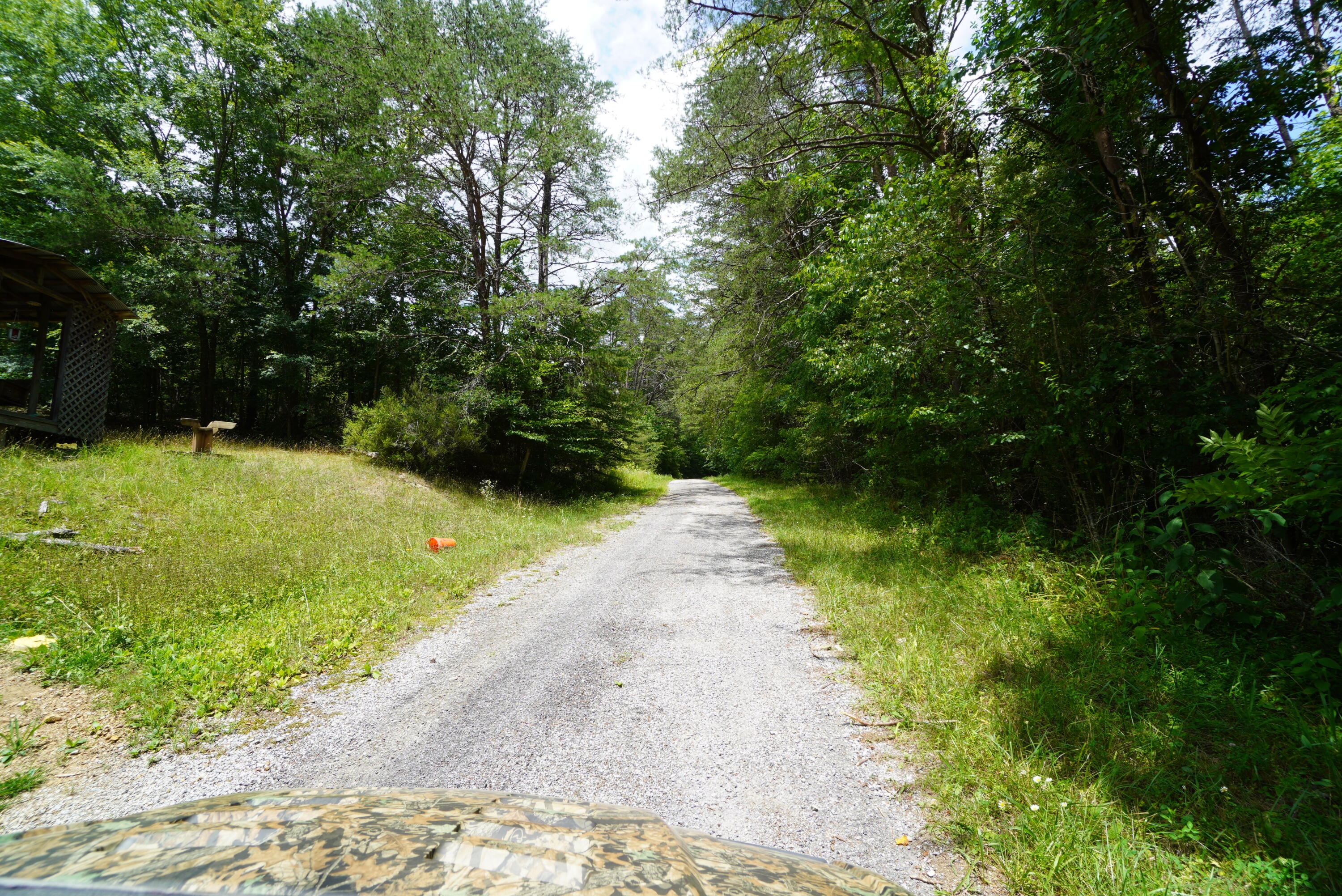 033.01 Joppa Mtn Road Rutledge, TN 37861 - Photo 22 of 40 joppa mtn - greer (29)