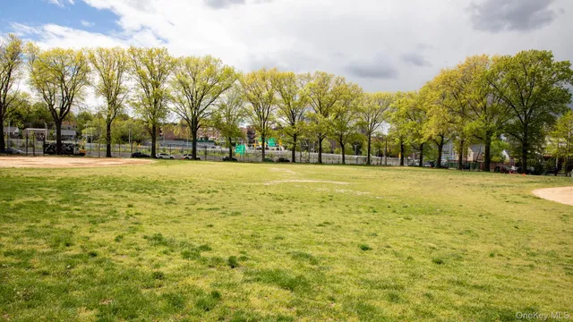 a view of a field with trees in the background