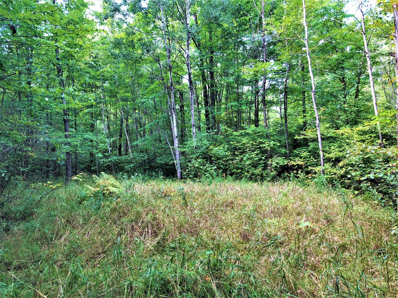 Off Cranberry Creek Road Prentice, WI 54556 - Photo 8 of 11 Gallery Image 8