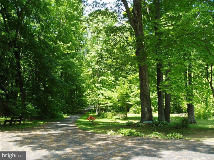 917 Dexter Corner Road Townsend, DE 19734 - Photo 15 of 16 Driveway