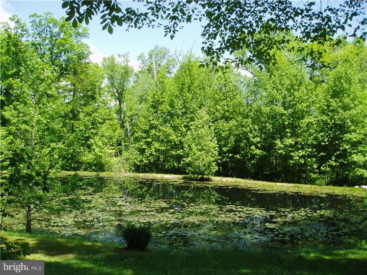917 Dexter Corner Road Townsend, DE 19734 - Photo 6 of 16 Lake / Pond