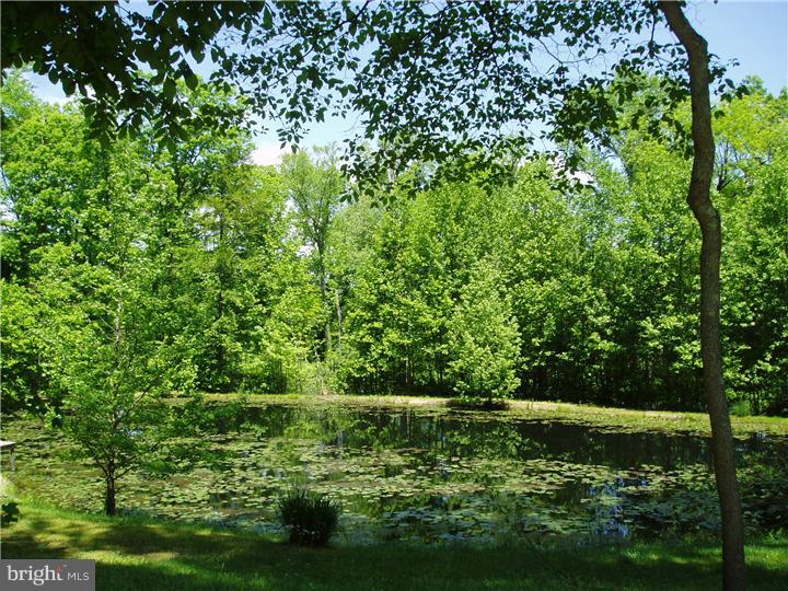 917 Dexter Corner Road Townsend, DE 19734 - Photo 7 of 16 Lake / Pond